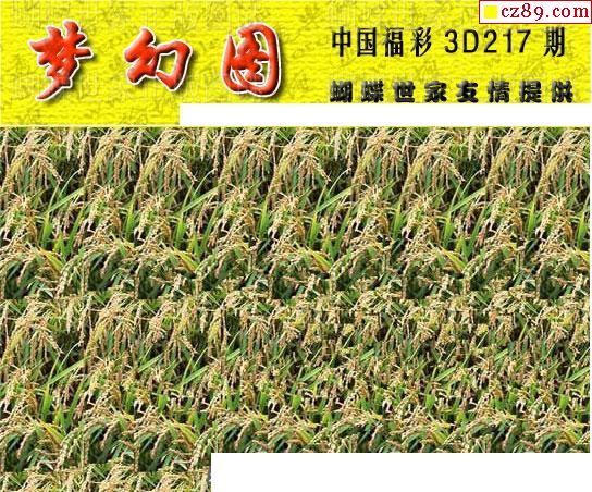 真蝴蝶世家2021217期3d图谜