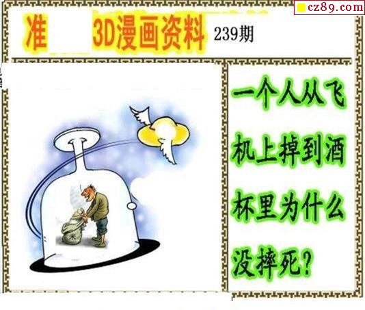 丹东全图2021239期3d图谜