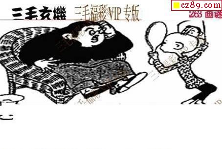 三毛图2021263期3d图谜