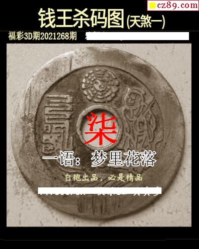 白袍法师全图2021268期3d图谜