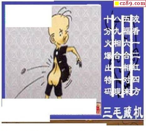 真三毛2021273期3d图谜