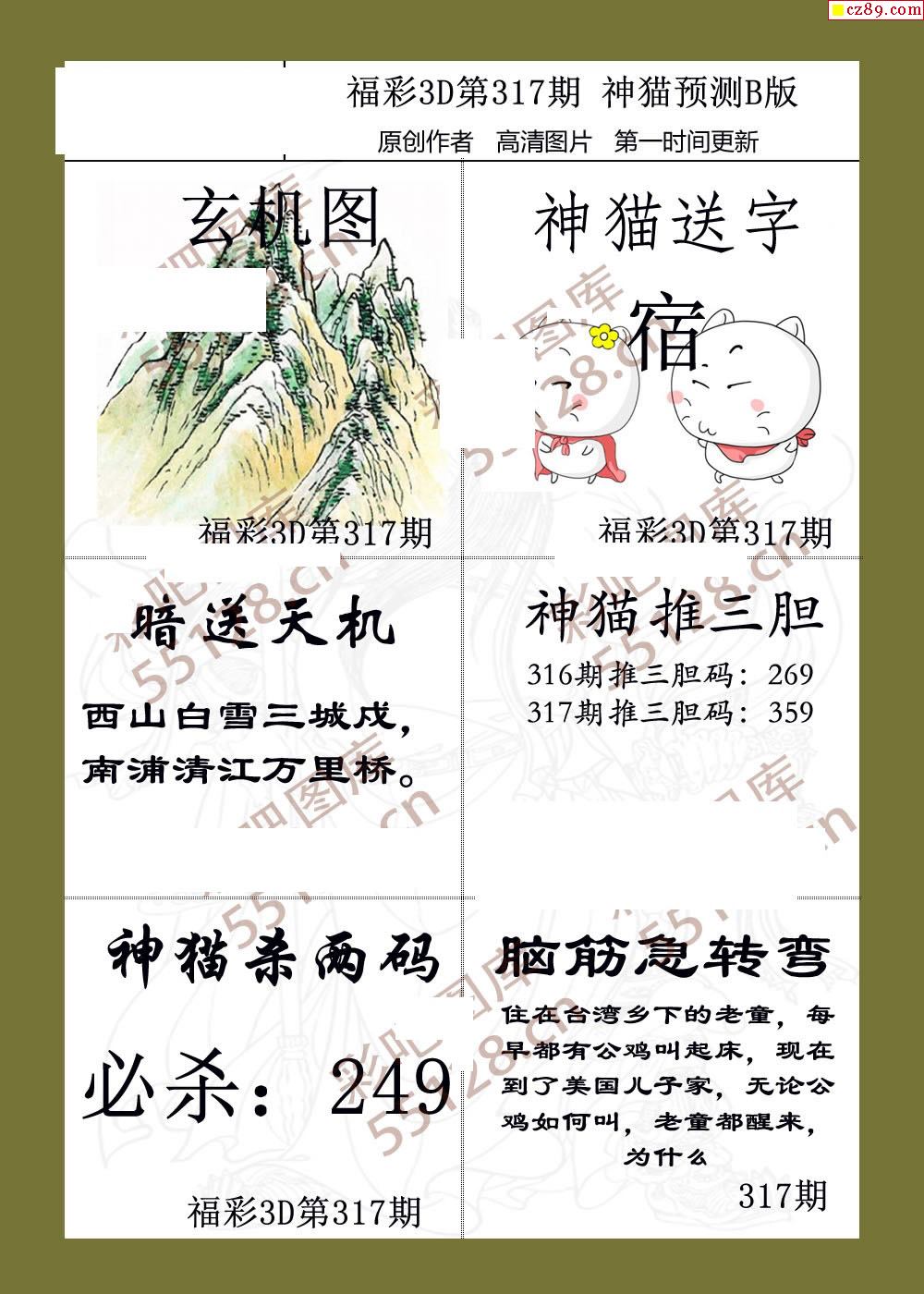 神猫预测19年317期3d字图谜2