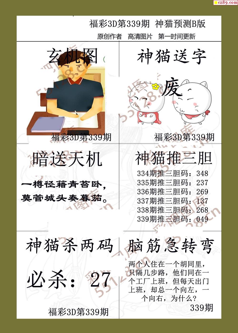 神猫预测19年339期3d字图谜2