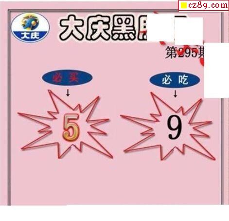 大庆黑胆王2020295期福彩3d图谜3