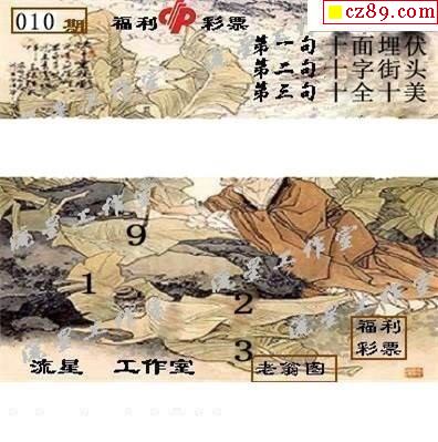 流星工作室2021010期福彩3d图谜3